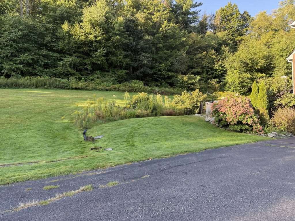 Back yard before drainage work in East Chatham, NY